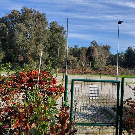 Appartamento 9 Residance Piviere Calambrone Εξωτερικό φωτογραφία