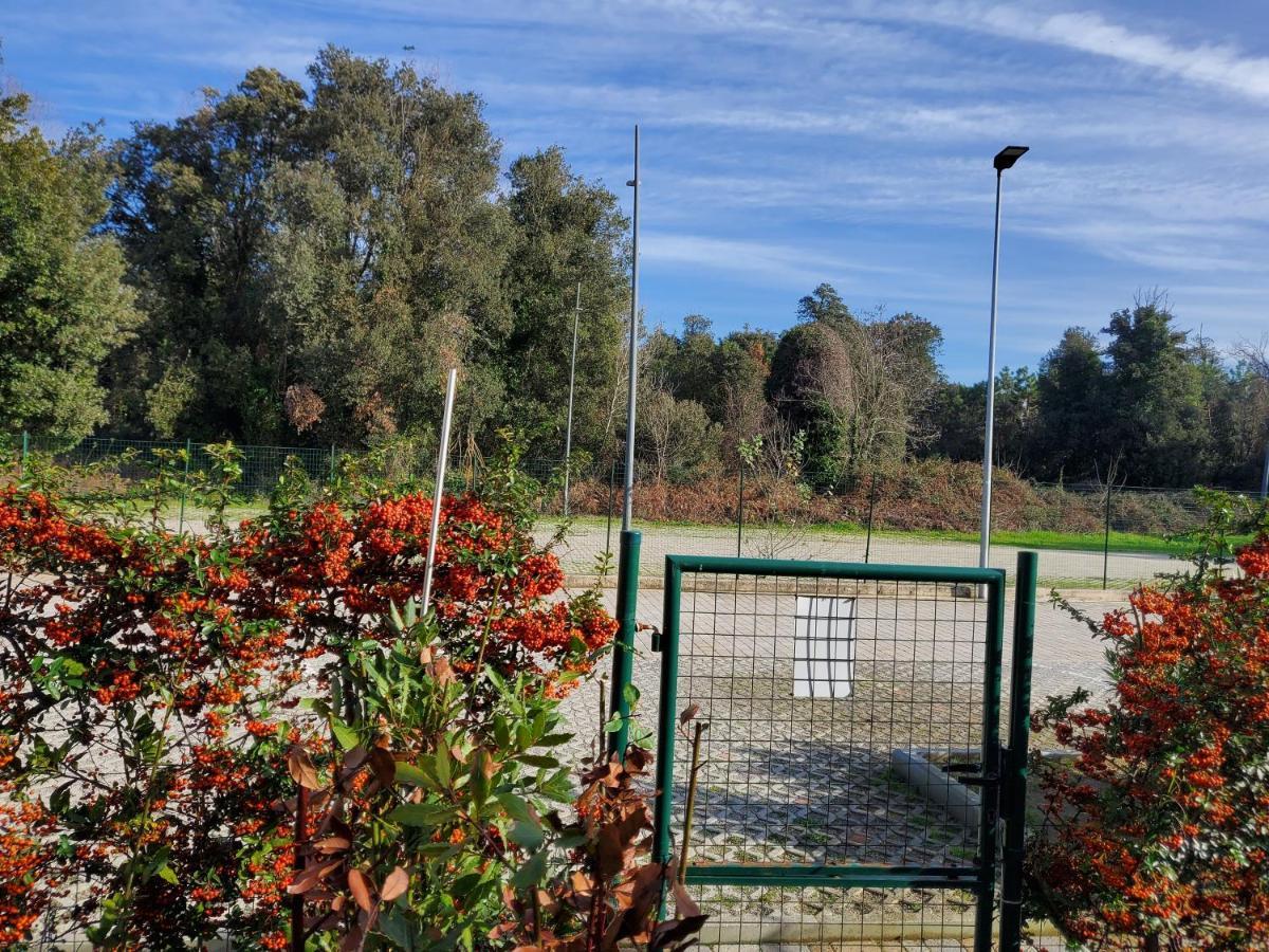 Appartamento 9 Residance Piviere Calambrone Εξωτερικό φωτογραφία
